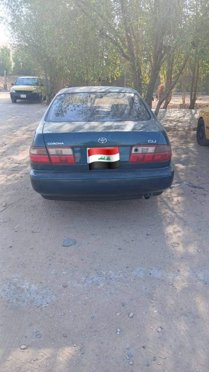 كرونا • ٩٢ • رقم نجف