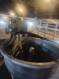 عجانه للبيع فقط للشراي  للتواصل : 07733748290