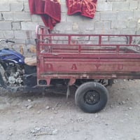 ستوته • شغاله • اوراق