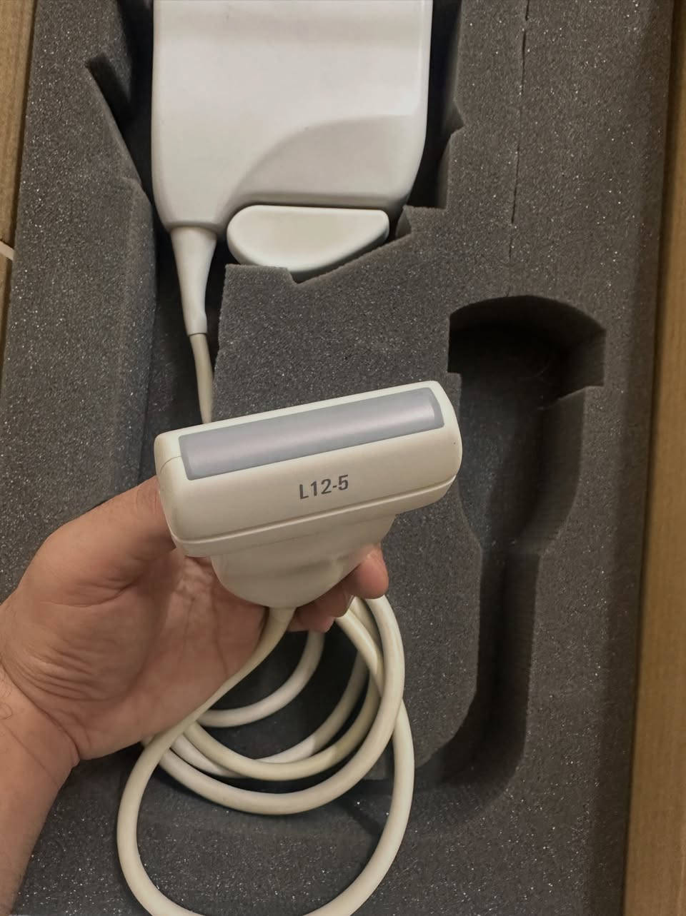 فيليبس L12-5 • مسبار خطي • سونار