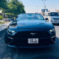 موستانغ إيكوبوست • كشف كهربائي • مرقمة بغداد