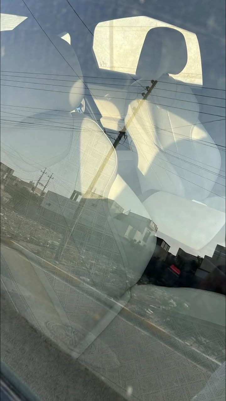 بي واي دي • ٢٠٢٥ • كفالة الشركة
