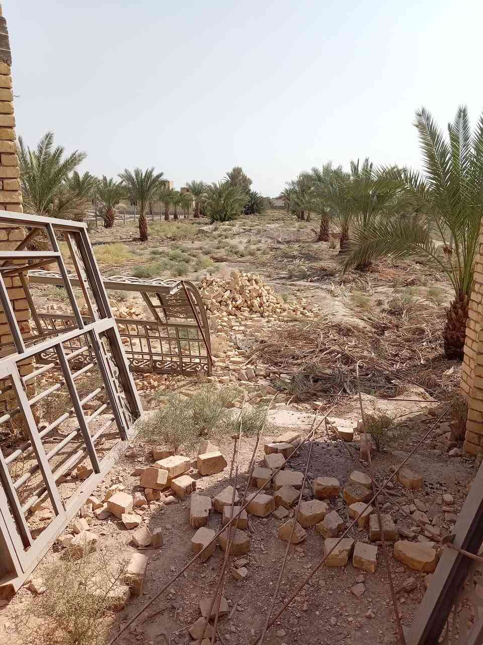 ناحية المجد • ٣ دونم • ٧٠ نخلة