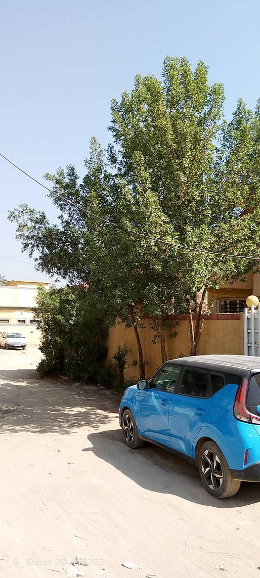 بيت طابو زراعي سند 25 تحويل مباشر بأسم المشتري
مساحه البيت بسند 265 
بوكس وصب كونكريت بناء البيت 2019
3 غرف نوم وحده منهم سويت وكبيره 
صحيات داخليه وخارجيه 
كراج سياره كبير 
ممرات داير البيت 
محل كان سابقا صالون نسائي 
مطبخ حار بارد 
ستقبال 
صاله كبيره 
البيت جاهز من كلشي الف متصرف عليه
جوره ومنطقه تترحملي عليها وربي يبارك بجميع 
مكان البيت الورديه خارج خلف معمل ابو كيره #بشارع استاذ اكرم مدلول البكري مدرس الخصوصي 
يبعد عن الشارع العام 150 متر تقريبا 
تفاصيل اكثر *********** بي وتساب 
السعر 115 وبي مجال لشراي 
صعدونا المنشور بصلاه ع محمد وال محمد

نص مكتوب في الصور:
- Shot on POWER P55
- Shot on POCO P55