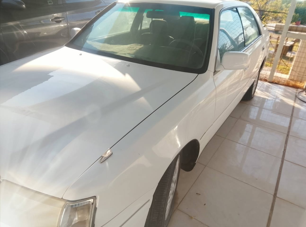 سلام عليكم راس الثور للبيع مديل95 رقم بغداد نكليزي مكينه وكير مكفول ***********

