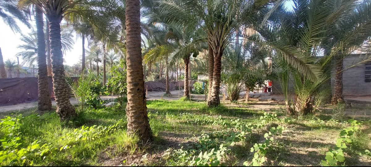 السلام عليكم قطعه للبيع المساحه 300 متر  ✅✅
طابو  صرف تحويل من صاحب الارض مباشر ✅

العنوان كربلاء الحسينيه شارع الحافظ ✅✅

بسعر 80

للاستفسار آكثر الأتصال على ***********
️

وكذلك نستقبل جميع العروض لديكم في كافه مناطق كربلاء المقدسه ✅✅
