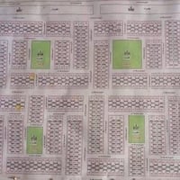 الطشاش • ٢٠٠م • وجه ١٠م
