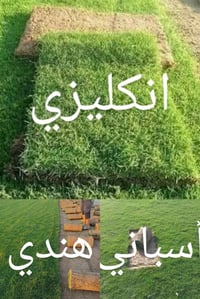 الثيل الهندي العالي الجوده مع التوصيل لكافة للمحافضات العزيزه للاتصال ...