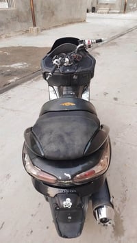 فورزا • ٠٩ • اوراق كامله
