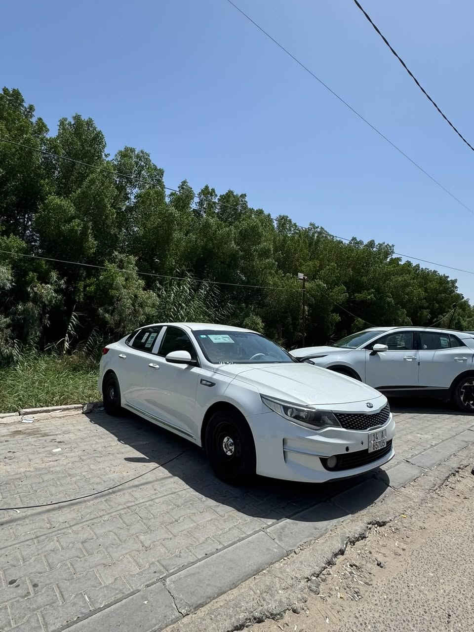 السلام عليكم
K5 17
وارد كوري
تبريد وحدادية وكير بشرط 
والمكينه مفتوحه محولة من خطين الى خط واحد
مواصفاتها 
كشنات تدفئه وستيرن تدفئه
مرايات شفط 
صندوق ذكي
تحكمات ستيرن 
بصمة
رقمها بصرة بأسمي تحويل ثاني يوم 
قطعه بنيد صبغ من كوريا 
وجاملغ صفحه السايق 
بصرة - خور الزبير
***********
السعر ((132 وبيها مجال ))

