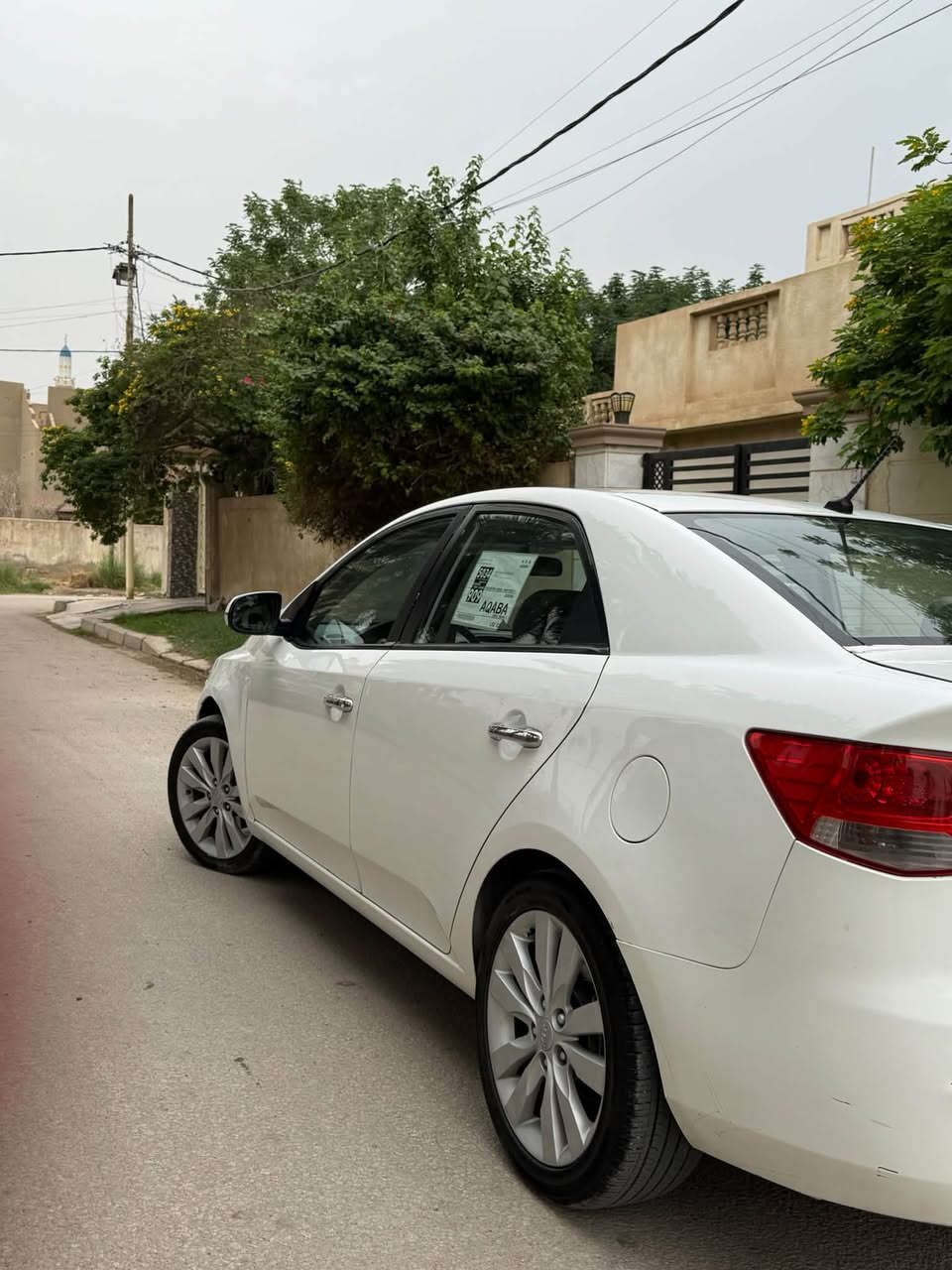 سيراتو • ٢٠١٢ • نمر اربيل