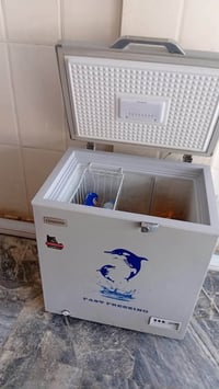 مجمدتين • استخدام قليل • بغداد