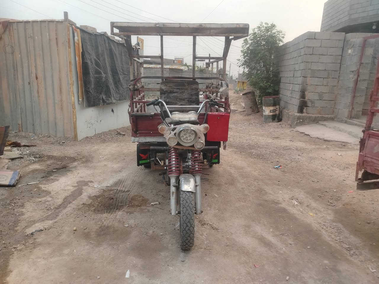 ستوته فحل • لحيم • صدية