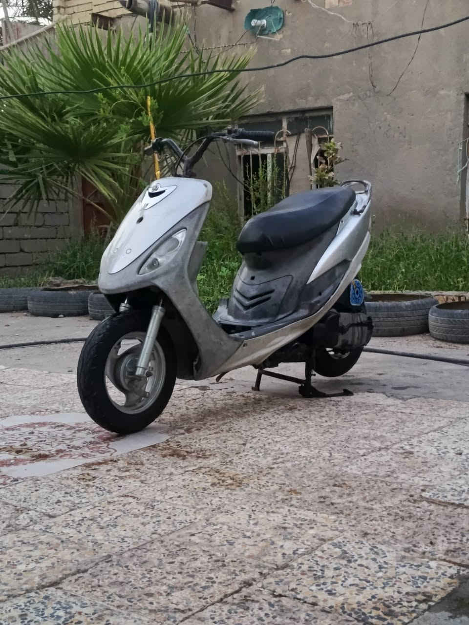 للبيع  البلدي مفتوحه كله اصلي مكان سوك الشيوخ سعر 400وبيه مجال بصيط لموشراي يطلع كبل ***********
