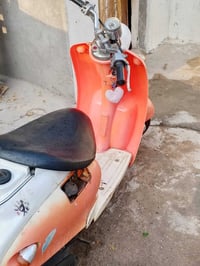 بيش رايدها • بدون تفاصيل