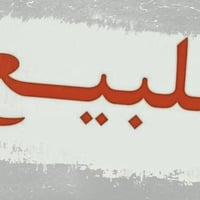 ١٦ دونم • طابو زراعي • قضاء طويريج
