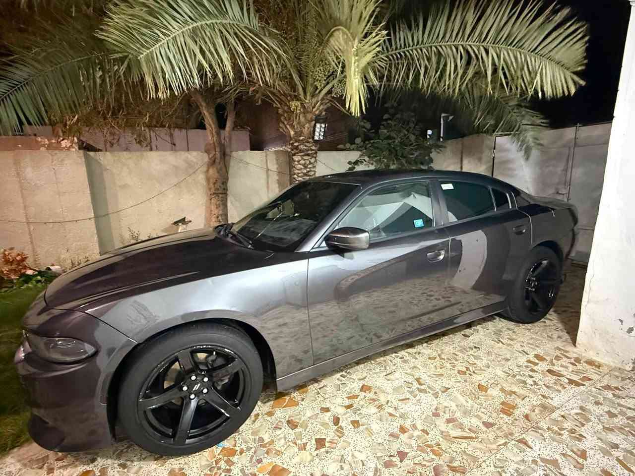 ٢٠١٨ • بدون غرق • منظومة غاز