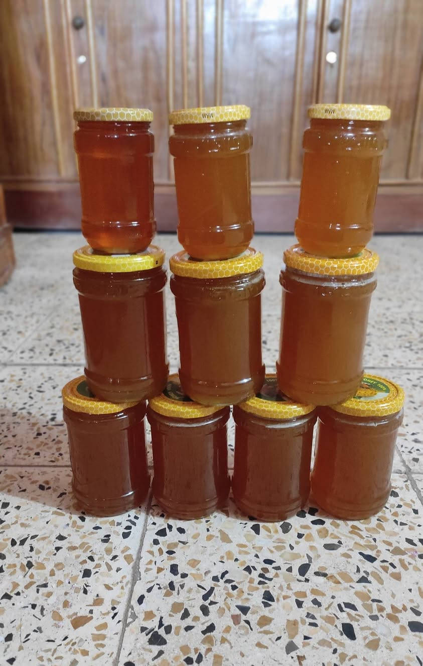 عسل طبيعي • فرز اليوم • واسط النعمانية