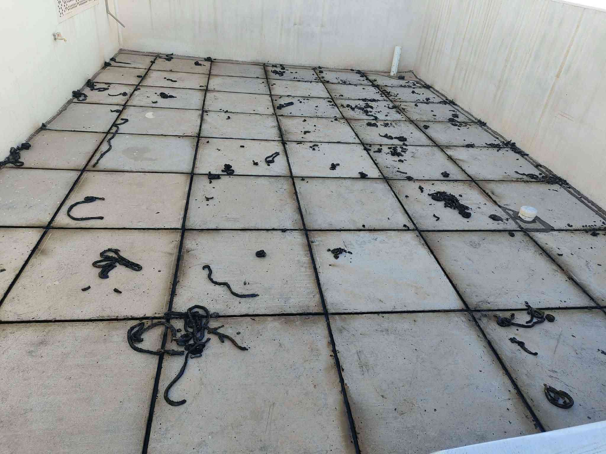 بسم الله الرحمن الرحيم .
نبدا بموسم جديد  عله بركه الله 🔑المصداقية بالعمل والاخلاص والصدق والامانة
حافظ علئ بيتك من الرطوبه وسقوط الامطار. شغل ماستك درجه اولئ
قلع قديم وضرب ماستك جديد و كوي جاهزون للعمل في الطوز  ***********
