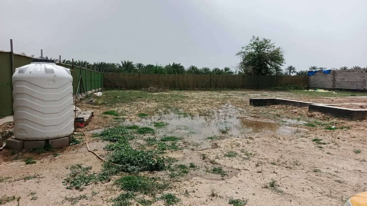 للبيع قطعة أرض مميزة في المدائن / الجعارة – شارع جامع سيد علي سند25
المساحة: 1271 م² تقريبًا (41 × 31 متر).
الأرض مسيجة بـ B٠R.Cومدفونة، وتحتوي على أساس لبيتين، وتقع في منطقة سكنية مكتملة الخدمات، وتصلح للسكن
للاستفسار يرجى التواصل على الرقم: (***********)

