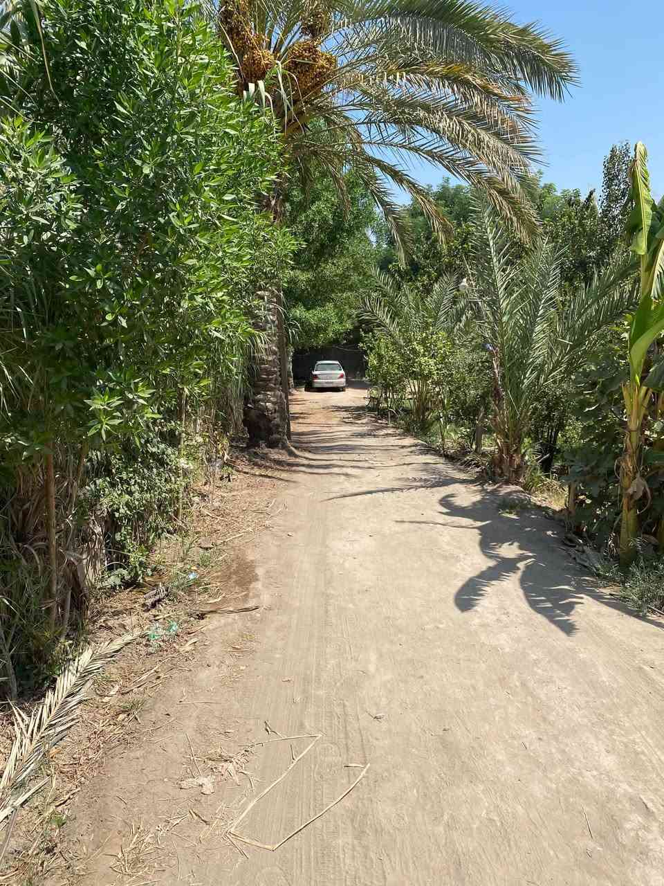 ارض زراعية للبيع سند ٢٥ بسمي ١٦٠٠ متر بيها بيت طابقين ومشتمل بناء حديث متوفر كافة الخدمات ماء اساله وكهرباء ونهر سقي السدة بداية طريق السيد ابراهيم ؏ للاستفسار الاتصال ‭***********‬
