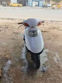 سبيسي • ياباني • كوت