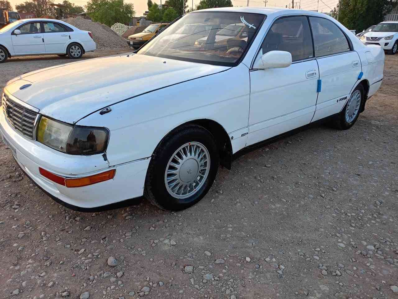بطة • ١٩٩٢ • ورقة
