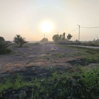 دونم ونص • سند ٢٥ مداور • هوى الشام