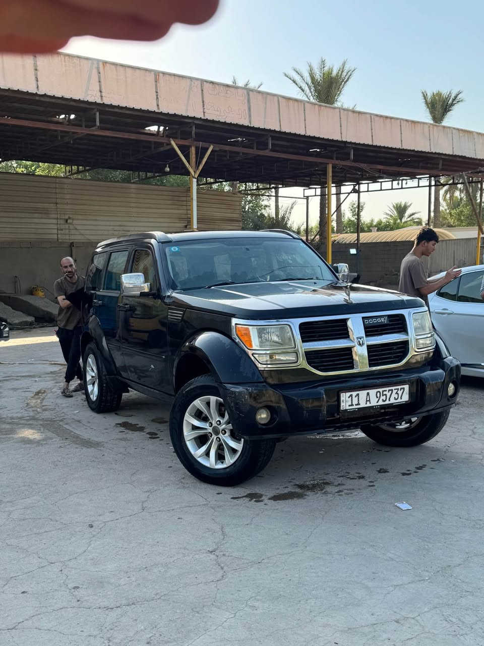 بغداد • باسمي • للبيع