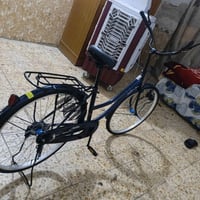 باسكل • وبي مجال • واتساب