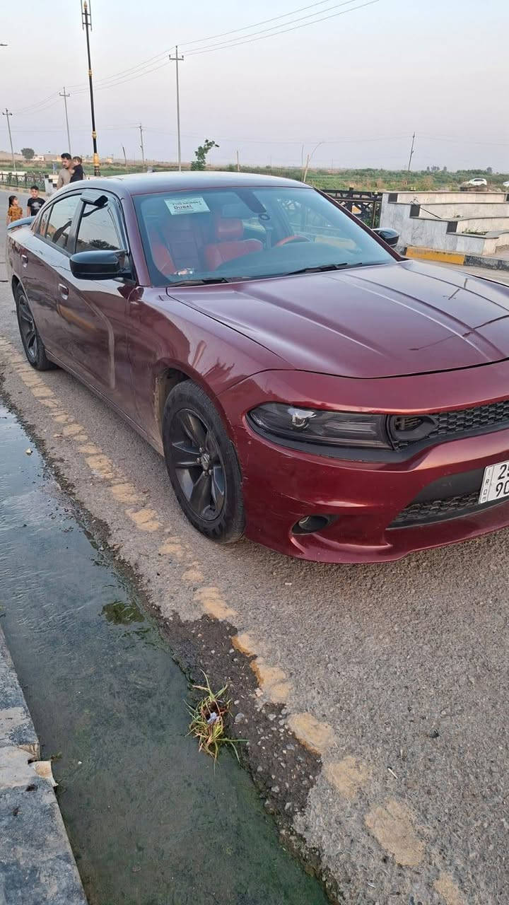 جارجر 2017صبق عام السعر 145 ***********
