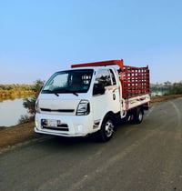 يوجد كيا حمل فحل  نقل من معامل طابوق نهروان  المحافظات  هاتف 077721577...