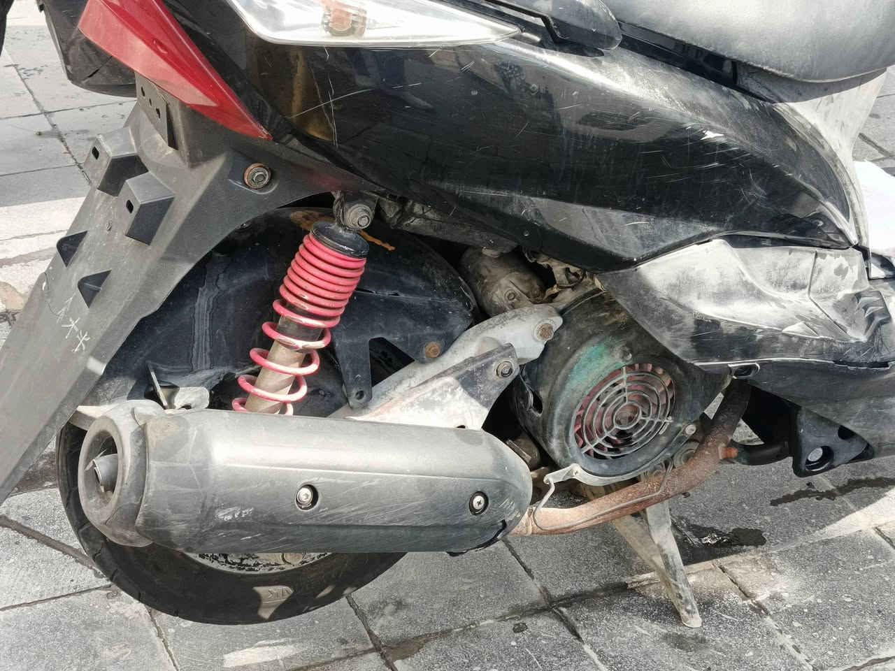 ثعلب • نضيفه • سلف وهندر
