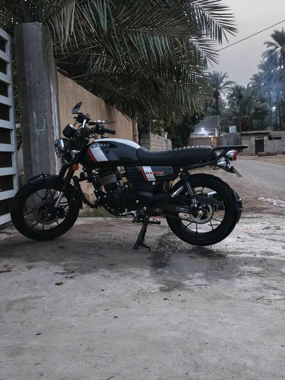 دايون لاتي • جديده • ٢٠٢٦