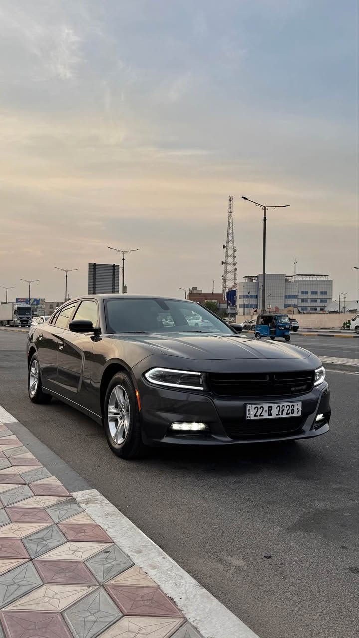 تشارجر SXT • ٢٠٢٣ • رقم اربيل
