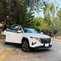 خليجي • فول • ٢٠٢٤