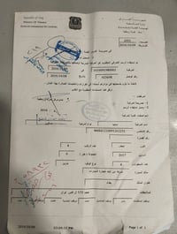 سايبا • ٢٠١٧ • النجف الاشرف