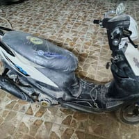 ماكس عدلة • مراوس • منغولي