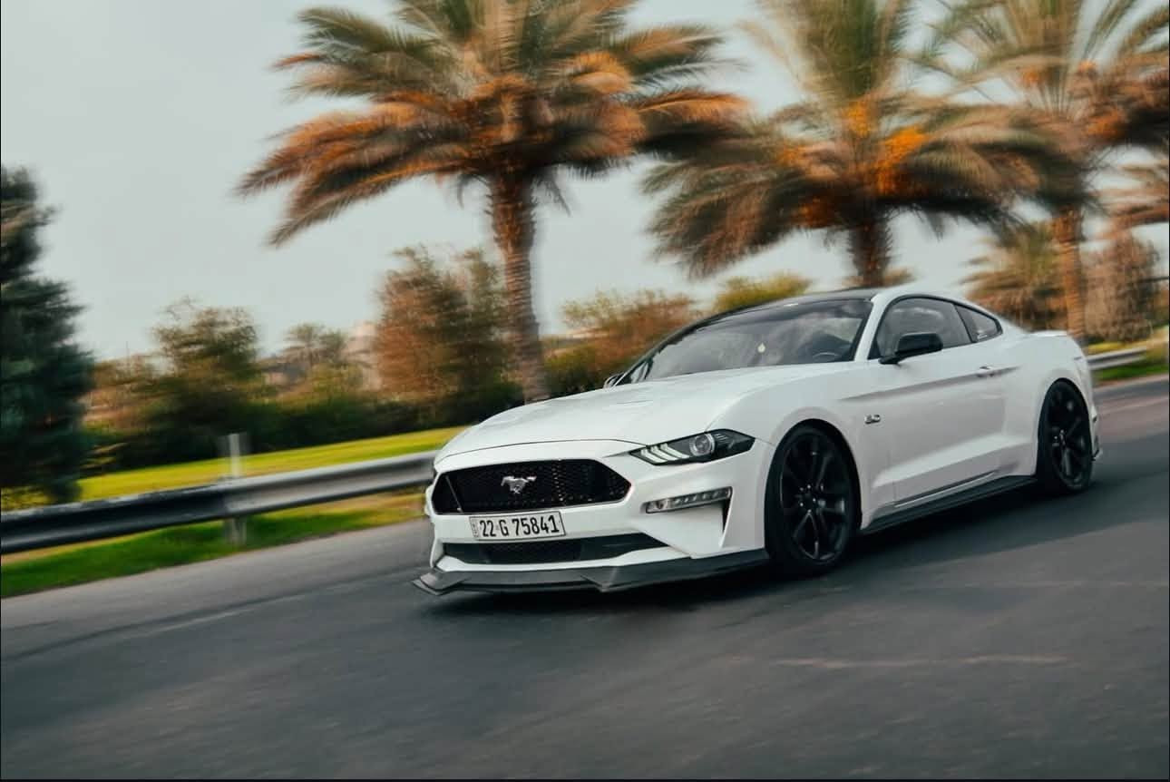 سلام عليكم
للبيع موستنك GT 5.0 
موديل 2020 
نسخة 55 🔥
—————————
عليها :
. X-Pipe

. Downpipe

. Headers

. تفريغ وبرمجة طلال 
—————————
حادث السيارة : باب + جاملغ السائق بدون دواخل ايرباك بردة فقط 
مكانين بارد 
الممشى  56000
السعر 200$
مكان السيارة : بغداد - حي الجامعة 
***********
