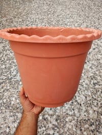 صباريات • سندان ٢٧سم • توصيل التاجيات