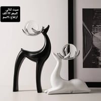 اسود وابيض • هدايا • توصيل