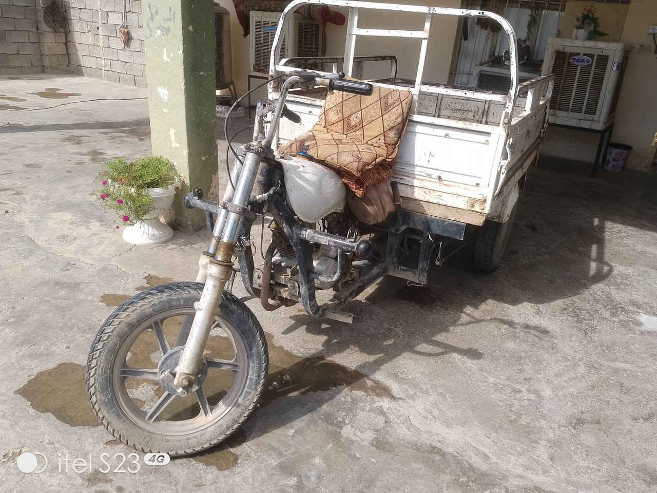 ستوته • ام طير
