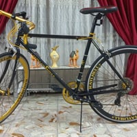 Raychell R713 • شيمانو أصلية • ٨ سرعات