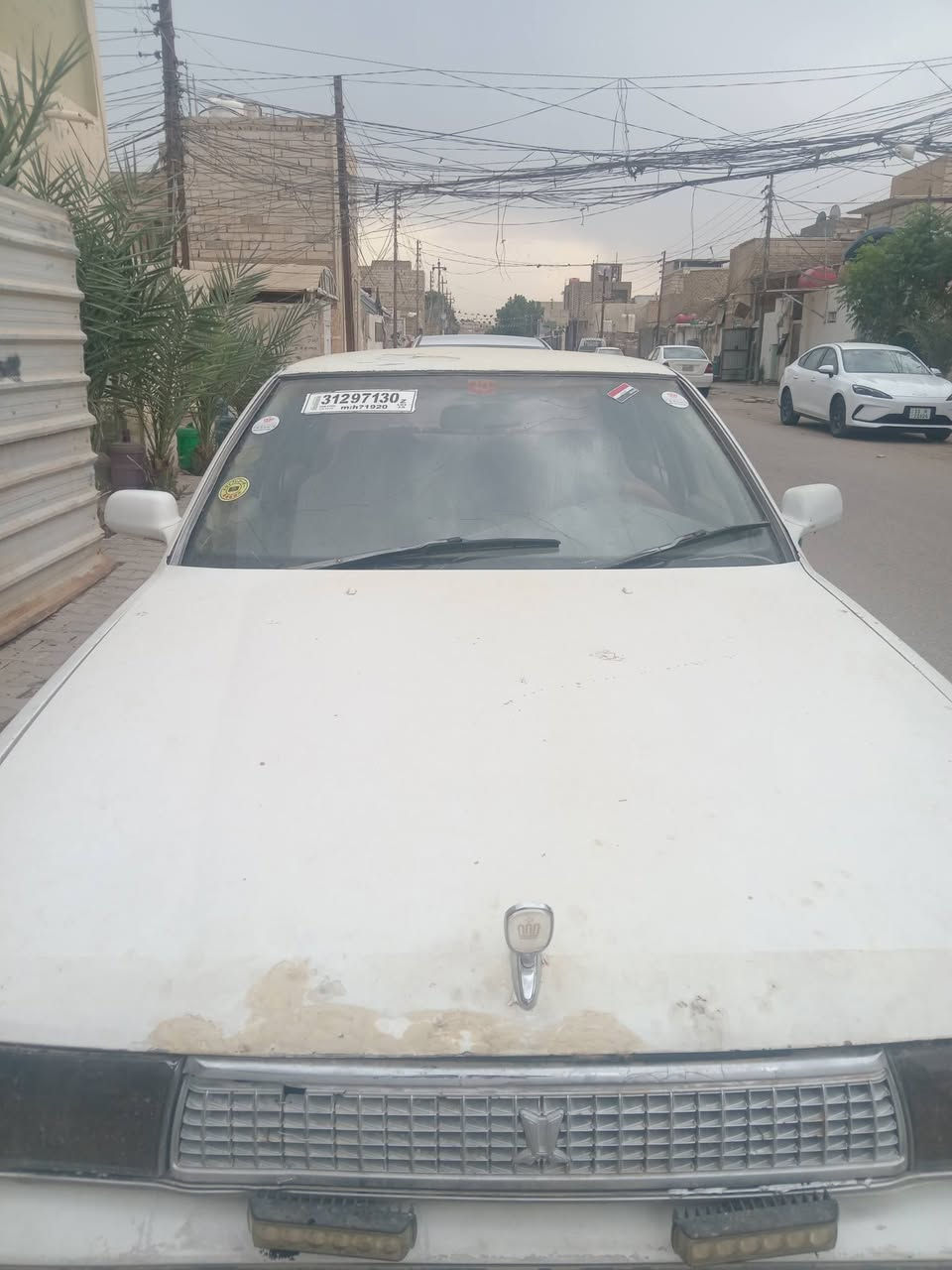نقل جثه • كفاله • النجف
