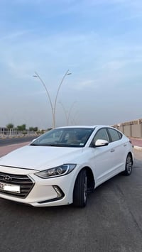 النترا خليجي • ٢٠١٨ • رقم اربيل