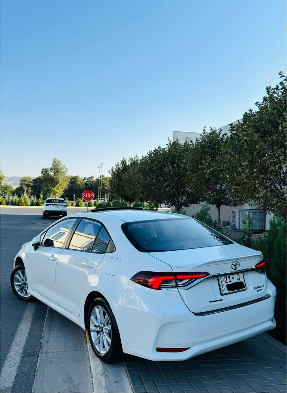 كرۆلا هایبرید -2025 hev فول فول مواسەفات 
سعر $169    ژمارە موبایل 📞***********----***********
بێ بۆیاخ-بێ سارد- بێ كراوە - بێ پارچە گۆڕاو -بێ تەرزە - 
یەك پەڵە كارتی بچوكی هەیە -سۆنەرەكەی داندراوە - 
سەیارەكە 10هەزار ڕۆشتوە💎
كامل كوشن و گاعی تێگیراوە 
گاعی قاڵبی بۆ كراوە 
4مۆدی لێخوڕین:ئیكۆ-نۆرماڵ -سپۆڕت -(Ev) 
بەسمە -سڵایت -دەرگا بەسمە - لایت زینۆن - بلاجیكتۆر-بەگلایت لید-ئاوێنە ئیشارەت - ڕادار -خەتی جادە-شاشە گەورە-گێچ ئەلیكترۆنی -برێك بەسمە - ئۆتۆ هۆڵد-شاشە گەورە- كامێرا - كارپلەی - مەكینە 1.8hev
گێڕو مەكینە بەشەرت  
زۆر بە پاكی جوان ماوەتەوە 
تەحویل و غرامە بەشەرت السليمانية, العراق
