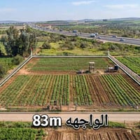 ١ دونم • أبو غريب • طابو ملك صرف