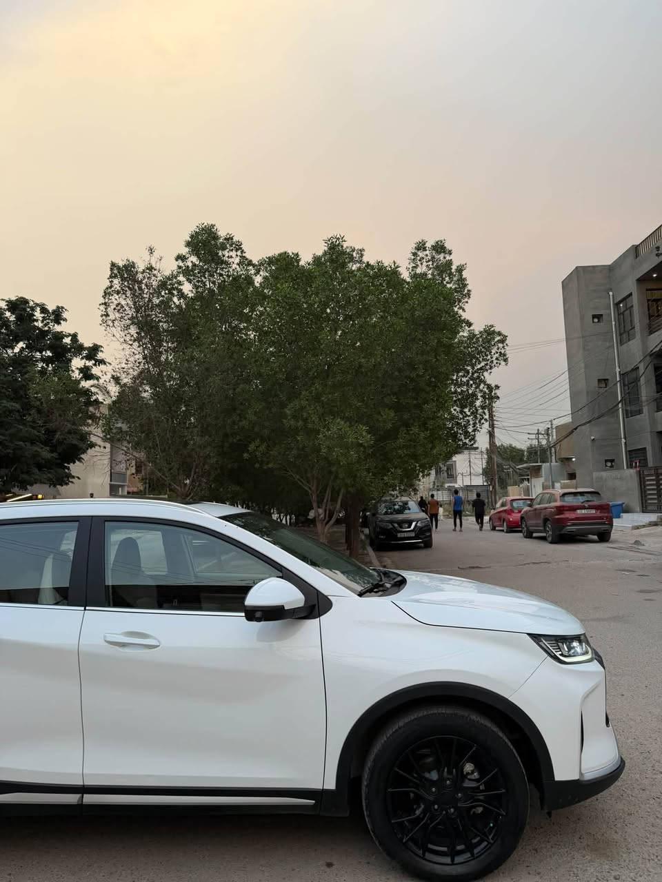 جيتور X50 • ٢٠٢٦ • رقم بغداد