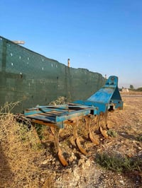 حمار • ١١ سنة • بدون شكاوى