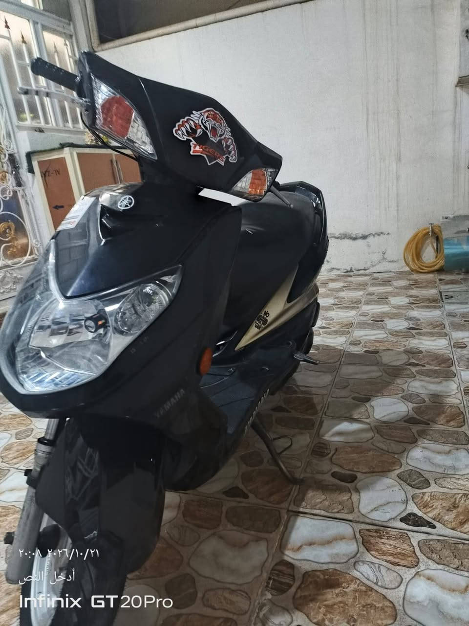 سكنس فحل • ممفتوحة • ختم واحد